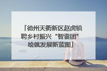 德州天衢新区赵虎镇聘乡村振兴“智囊团” 绘就发展新蓝图