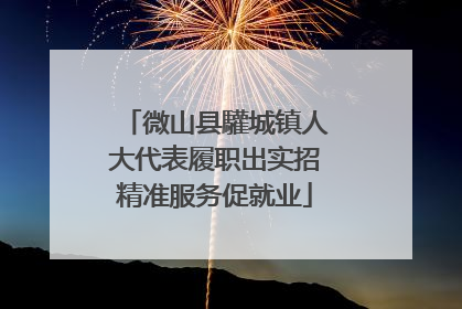 微山县驩城镇人大代表履职出实招精准服务促就业
