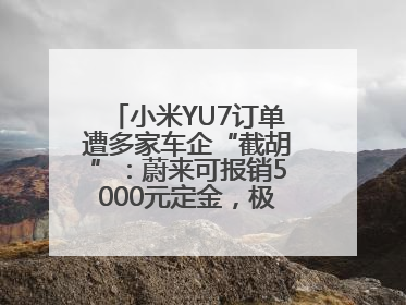 小米YU7订单遭多家车企“截胡”：蔚来可报销5000元定金，极氪送积分；何小鹏下单YU7，喊话雷军早点交付