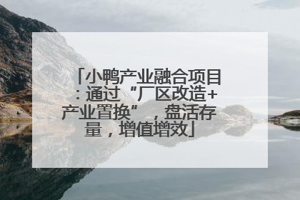小鸭产业融合项目：通过“厂区改造+产业置换”，盘活存量，增值增效