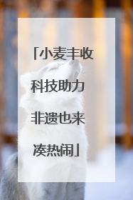 小麦丰收 科技助力 非遗也来凑热闹