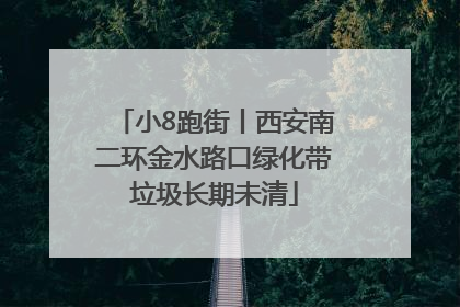 小8跑街丨西安南二环金水路口绿化带垃圾长期未清