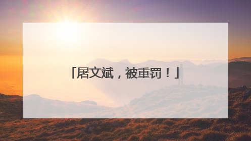 屠文斌，被重罚！