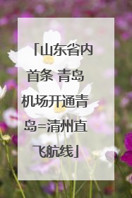 山东省内首条 青岛机场开通青岛=清州直飞航线
