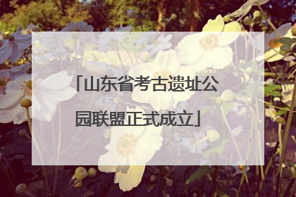 山东省考古遗址公园联盟正式成立