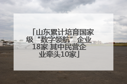 山东累计培育国家级“数字领航”企业18家 其中民营企业牵头10家