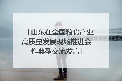 山东在全国粮食产业高质量发展现场推进会作典型交流发言