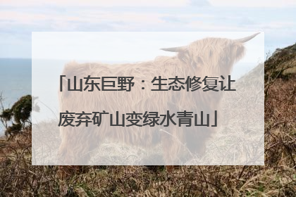 山东巨野：生态修复让废弃矿山变绿水青山