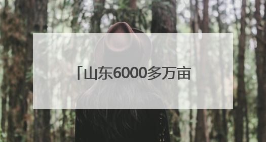 山东6000多万亩小麦陆续开镰 全省将进入小麦机收高峰期