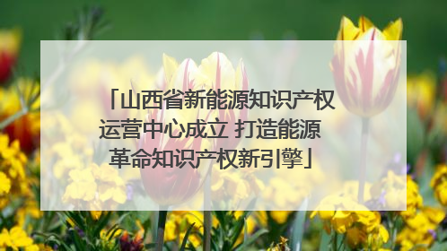 山西省新能源知识产权运营中心成立 打造能源革命知识产权新引擎