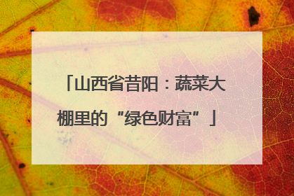 山西省昔阳：蔬菜大棚里的“绿色财富”