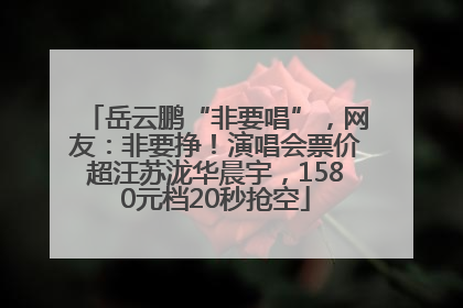 岳云鹏“非要唱”，网友：非要挣！演唱会票价超汪苏泷华晨宇，1580元档20秒抢空