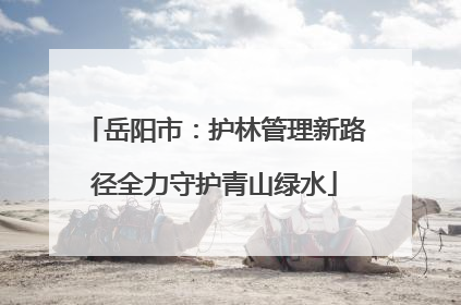 岳阳市：护林管理新路径全力守护青山绿水