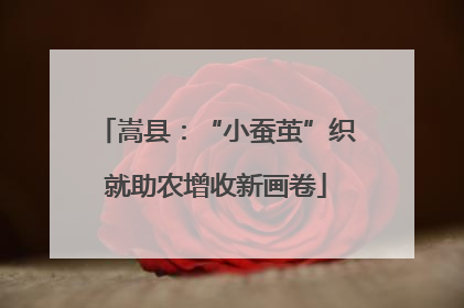 嵩县：“小蚕茧”织就助农增收新画卷