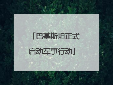 巴基斯坦正式启动军事行动