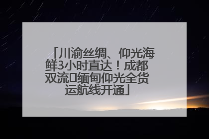 川渝丝绸、仰光海鲜3小时直达！成都双流⇌缅甸仰光全货运航线开通