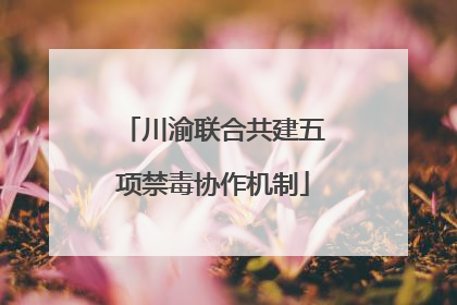 川渝联合共建五项禁毒协作机制