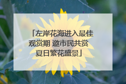 左岸花海进入最佳观赏期 邀市民共赏夏日繁花盛景