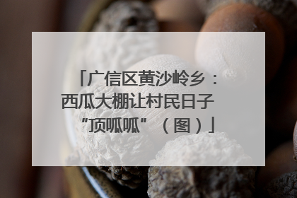 广信区黄沙岭乡：西瓜大棚让村民日子“顶呱呱”（图）