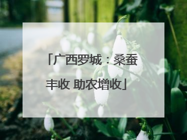 广西罗城：桑蚕丰收 助农增收