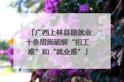 广西上林县稳就业十条措施破解“招工难”和“就业难”
