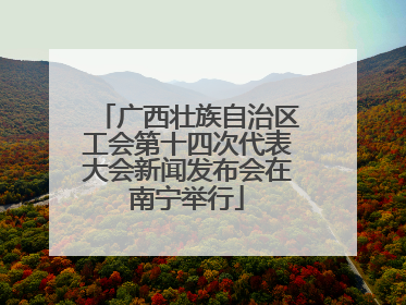 广西壮族自治区工会第十四次代表大会新闻发布会在南宁举行