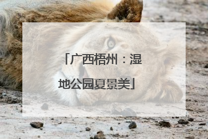 广西梧州：湿地公园夏景美