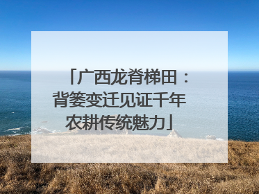 广西龙脊梯田：背篓变迁见证千年农耕传统魅力