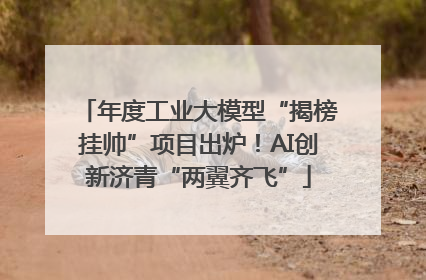 年度工业大模型“揭榜挂帅”项目出炉！AI创新济青“两翼齐飞”