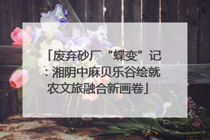 废弃砂厂“蝶变”记：湘阴中麻贝乐谷绘就农文旅融合新画卷
