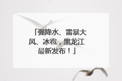 强降水、雷暴大风、冰雹，黑龙江最新发布！