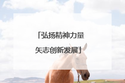 弘扬精神力量 矢志创新发展