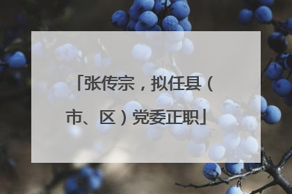 张传宗，拟任县（市、区）党委正职