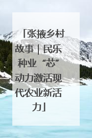 张掖乡村故事｜民乐种业“芯”动力激活现代农业新活力