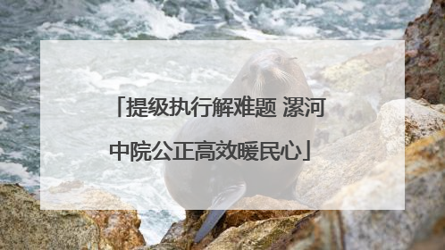 提级执行解难题 漯河中院公正高效暖民心