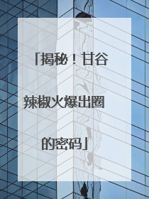 揭秘！甘谷辣椒火爆出圈的密码