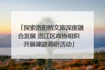 探索洛阳桥文旅深度融合发展 洛江区政协组织开展课题调研活动