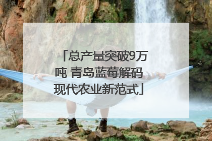 总产量突破9万吨 青岛蓝莓解码现代农业新范式