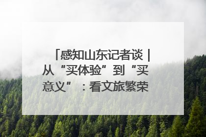 感知山东记者谈｜从“买体验”到“买意义”：看文旅繁荣背后的幸福新定义