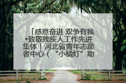感恩奋进 双争有我•致敬残疾人工作先进集体丨河北省青年志愿者中心（“小橘灯”助残接力计划实施团队）：用温暖陪伴，守护特殊孩子成长
