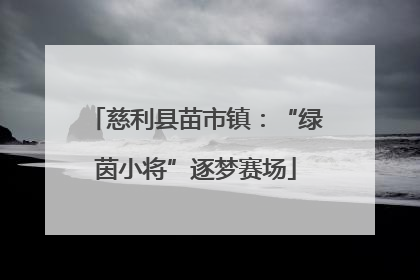 慈利县苗市镇：“绿茵小将”逐梦赛场