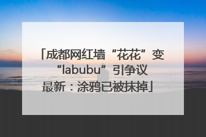 成都网红墙“花花”变“labubu”引争议 最新：涂鸦已被抹掉