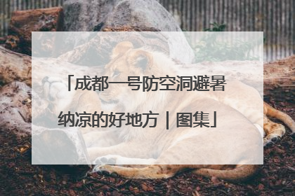成都一号防空洞避暑纳凉的好地方｜图集