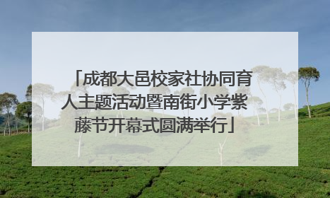 成都大邑校家社协同育人主题活动暨南街小学紫藤节开幕式圆满举行