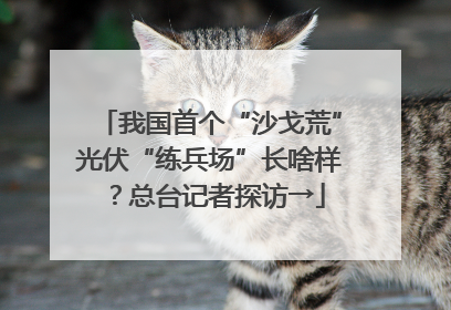 我国首个“沙戈荒”光伏“练兵场”长啥样？总台记者探访→