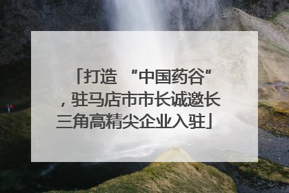 打造 “中国药谷”，驻马店市市长诚邀长三角高精尖企业入驻