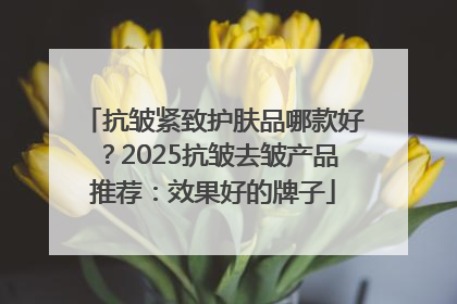 抗皱紧致护肤品哪款好？2025抗皱去皱产品推荐：效果好的牌子