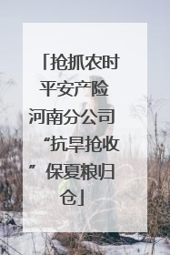 抢抓农时 平安产险河南分公司“抗旱抢收”保夏粮归仓