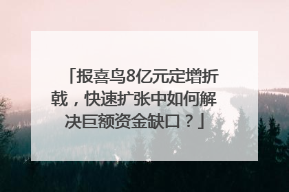 报喜鸟8亿元定增折戟，快速扩张中如何解决巨额资金缺口？