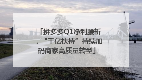 拼多多Q1净利腰斩，“千亿扶持”持续加码商家高质量转型